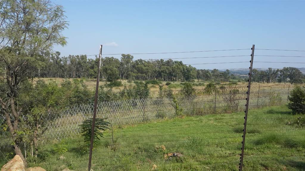 25.7 ha Land available in Knopjeslaagte photo number 5