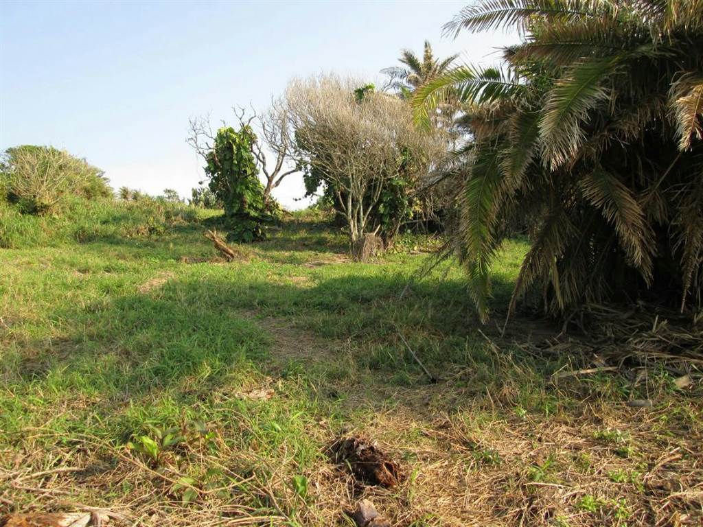 1337 m² Land available in Park Rynie photo number 13