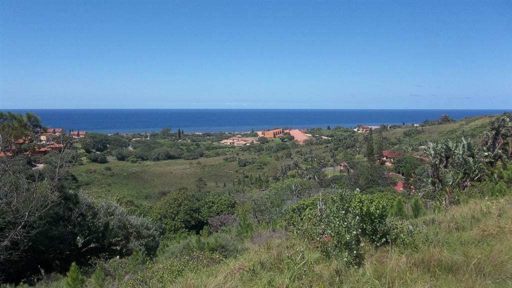 1.1 ha Land available in Port Edward photo number 7