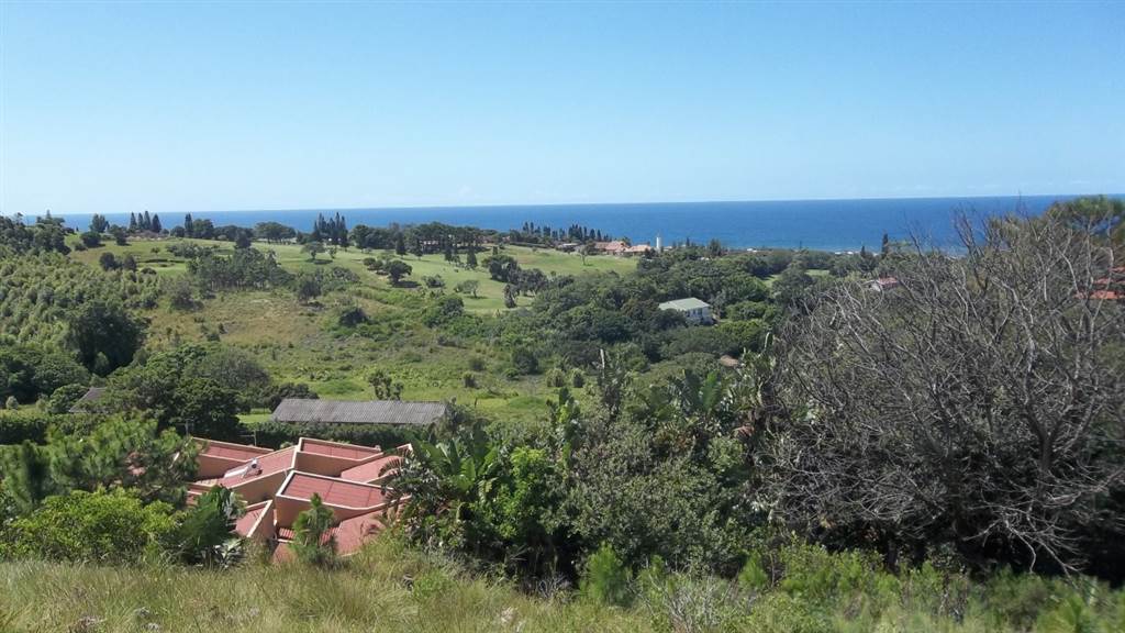 1.1 ha Land available in Port Edward photo number 4