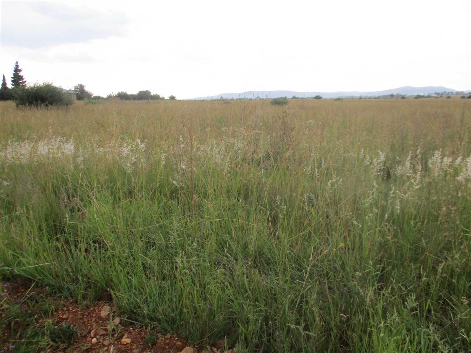 4923 m² Land available in Henley on Klip photo number 3
