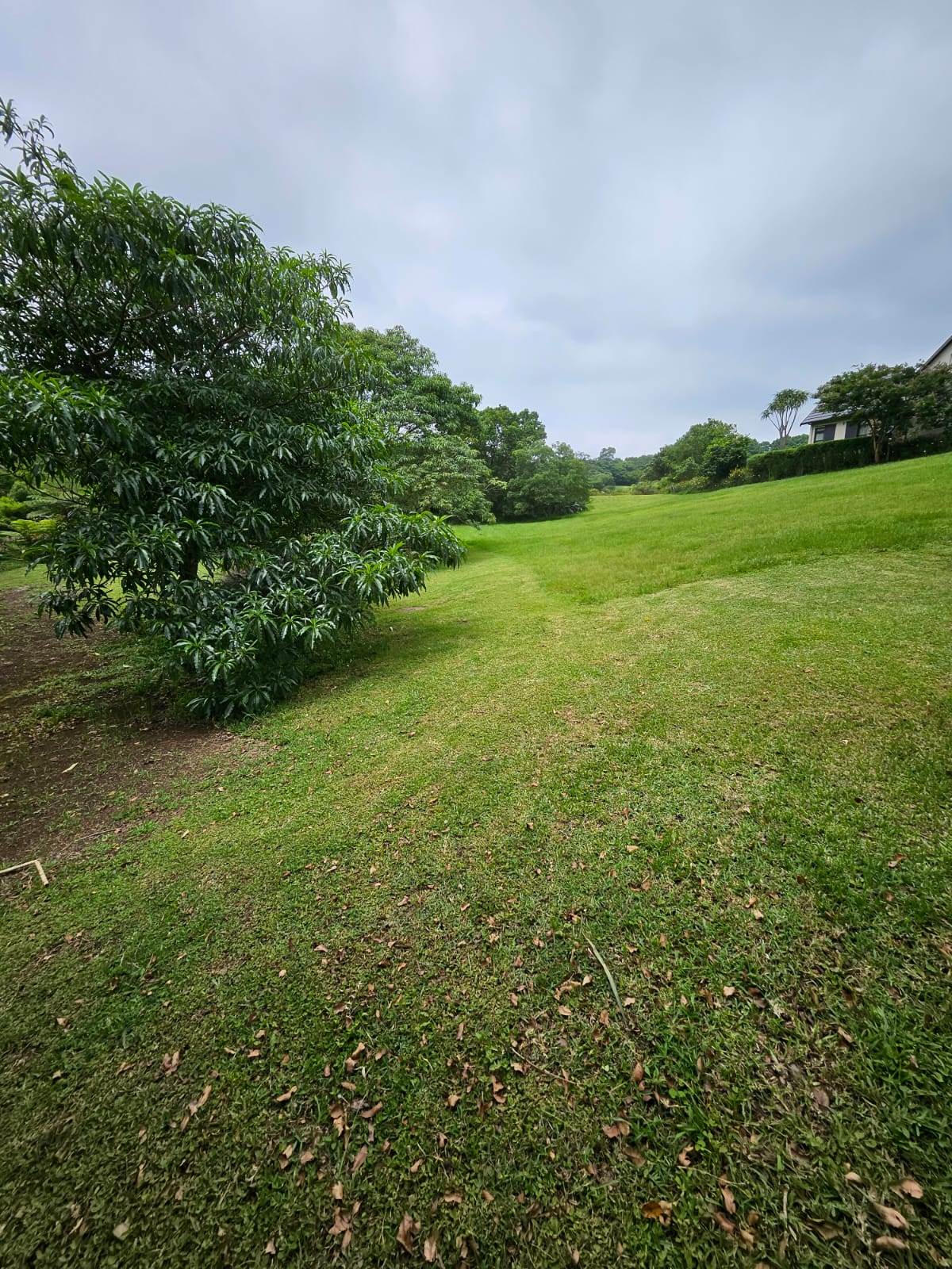 1166 m² Land available in Cotswold Downs Estate photo number 2