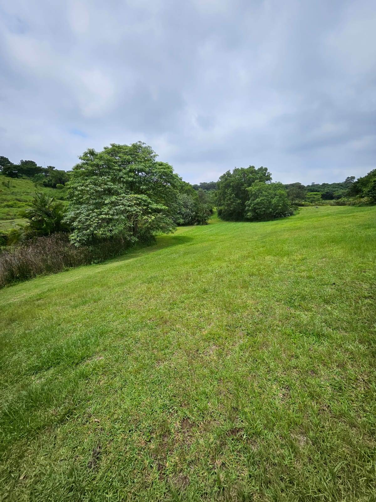 1166 m² Land available in Cotswold Downs Estate photo number 6