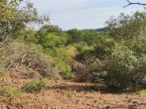 3941 m² Land available in Blyde Wildlife Estate