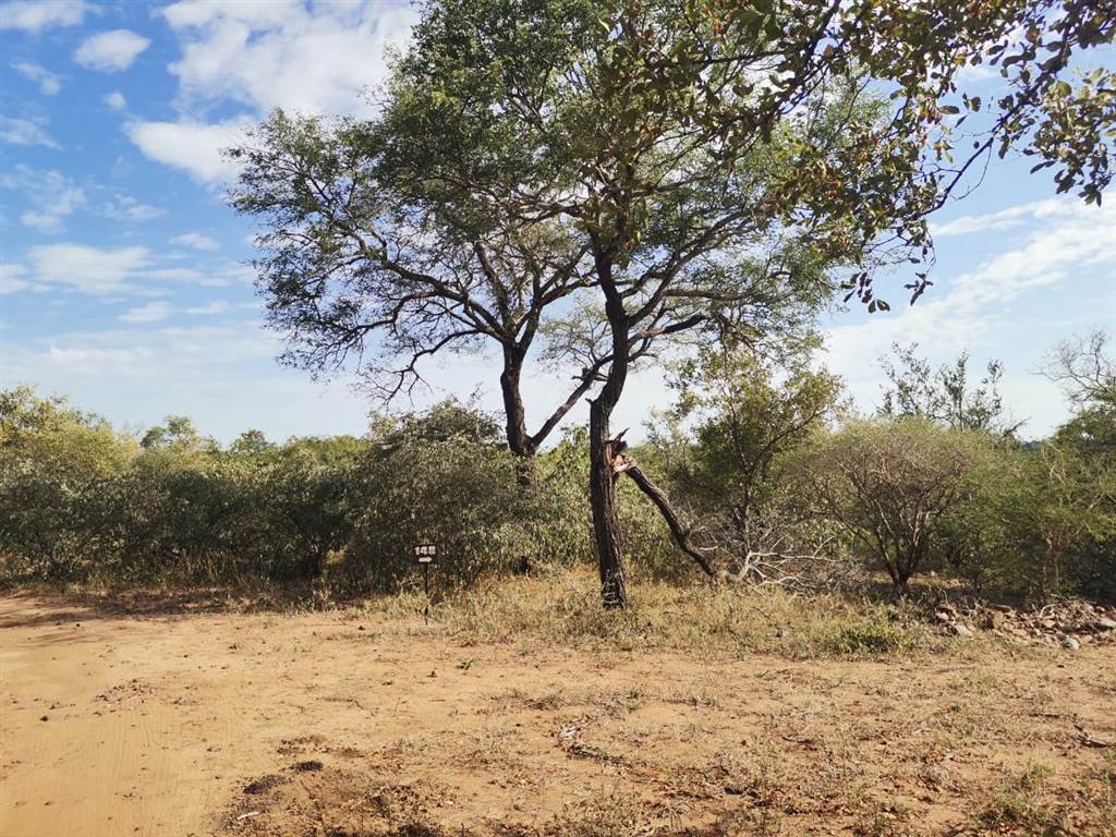 3941 m² Land available in Blyde Wildlife Estate photo number 6
