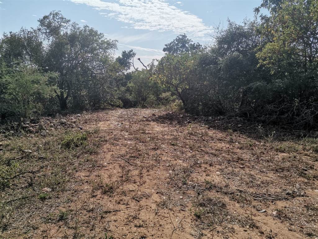 3941 m² Land available in Blyde Wildlife Estate photo number 7