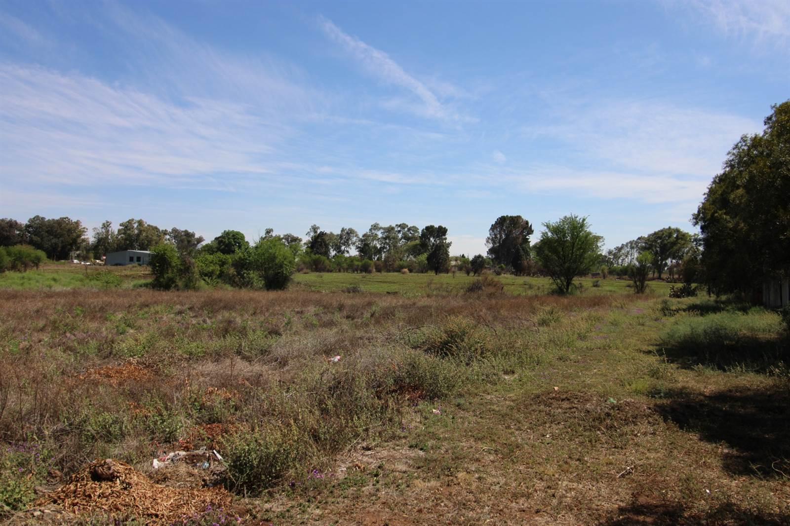 3 ha Land available in Olive Hill photo number 6