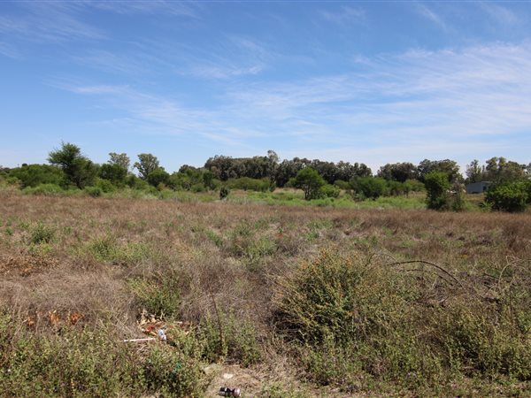 3 ha Land available in Olive Hill