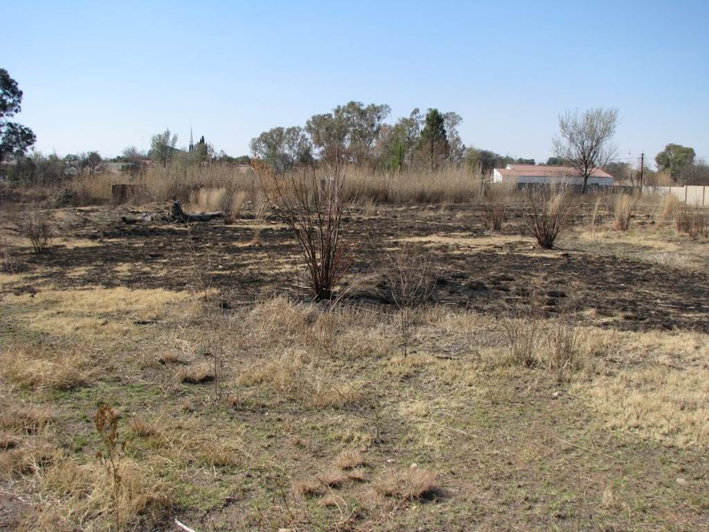 4283 m² Land available in Parys photo number 3
