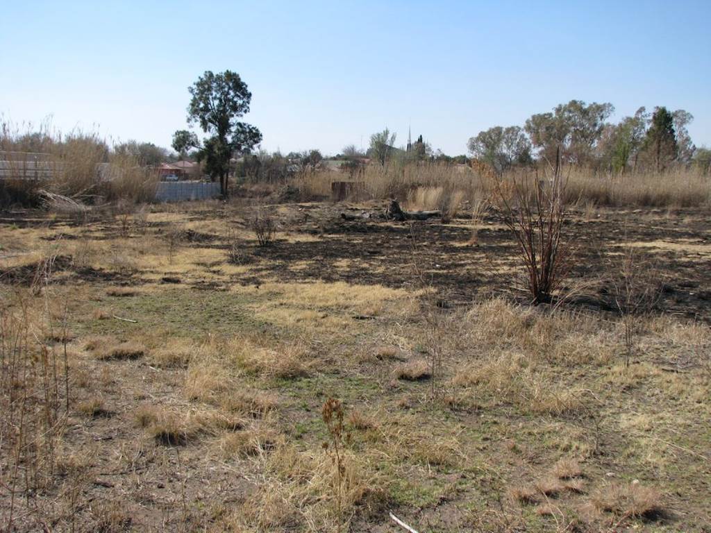 4283 m² Land available in Parys photo number 2