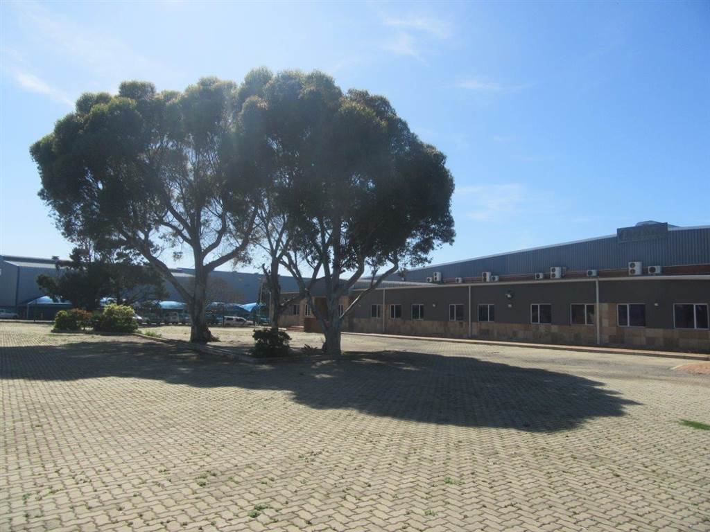 13100  m² Industrial space in Algoa Park photo number 23