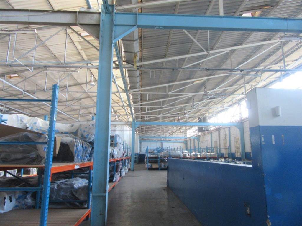 13100  m² Industrial space in Algoa Park photo number 12