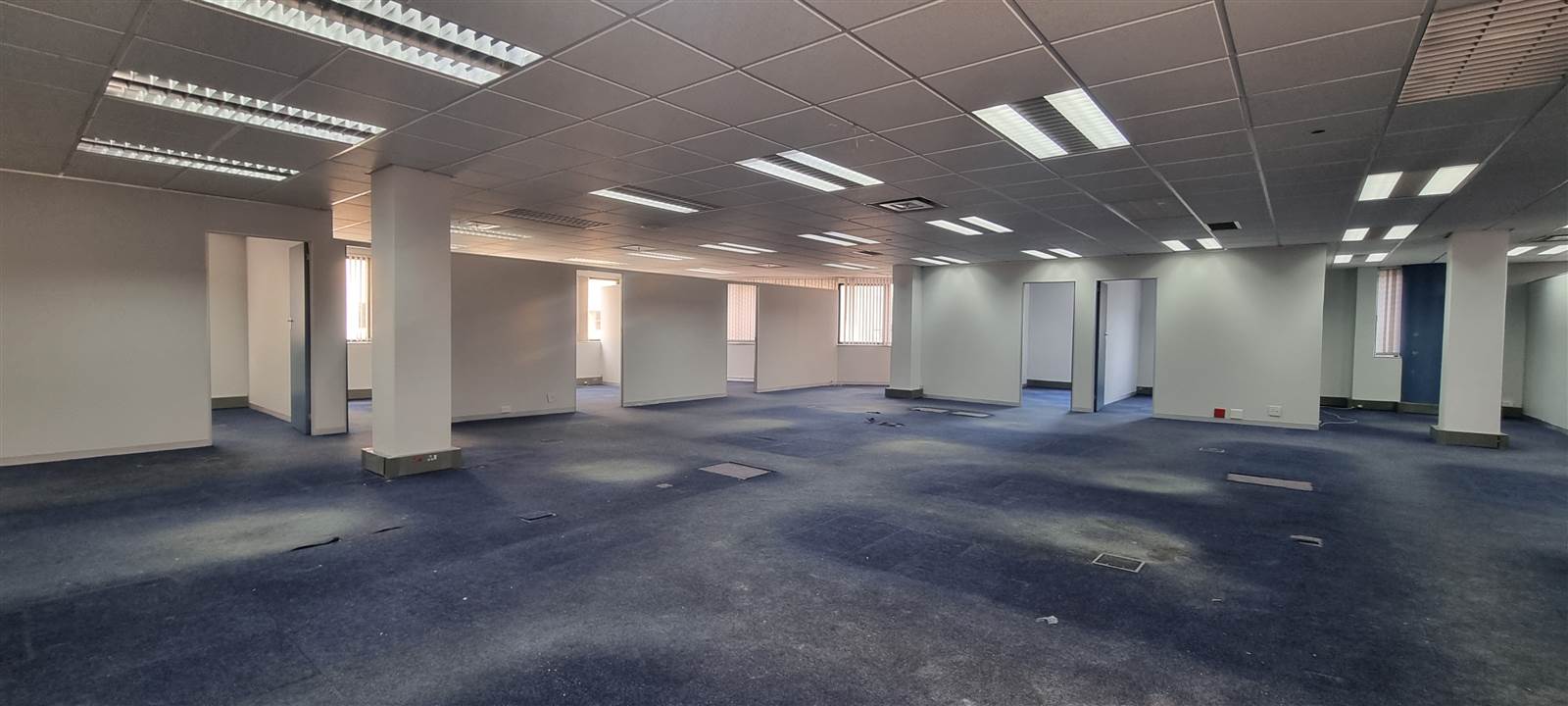 494  m² Commercial space in Musgrave photo number 5