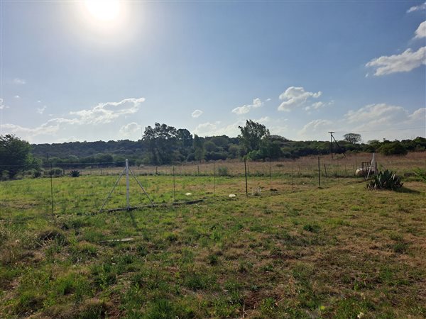 1.1 ha Farm in Olive Hill