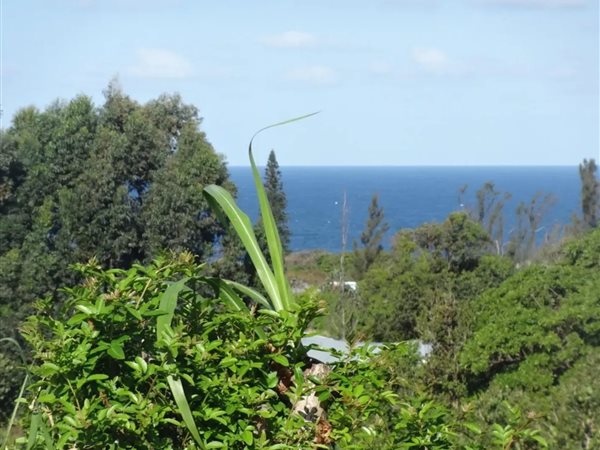 2243 m² Land available in Port Edward