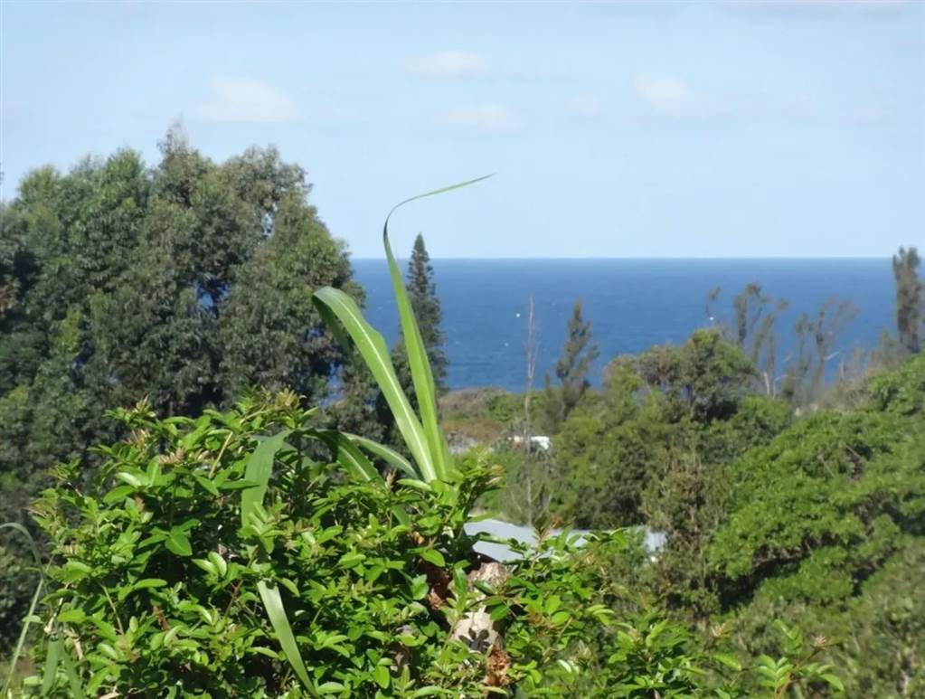 2243 m² Land available in Port Edward photo number 1