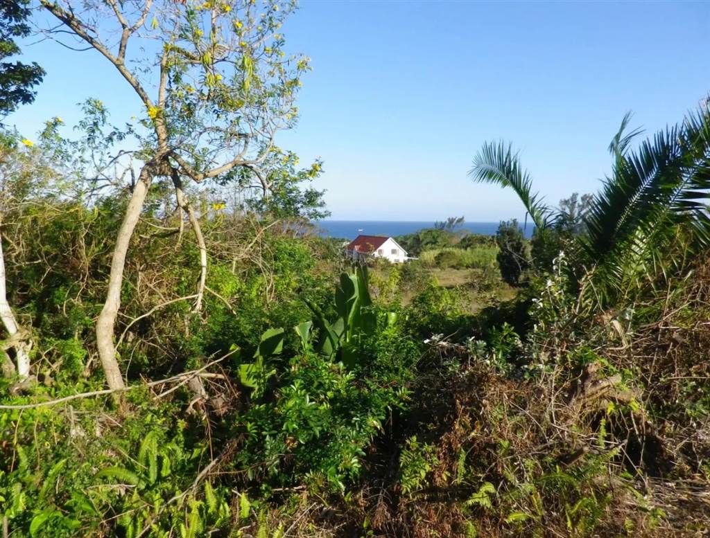 2243 m² Land available in Port Edward photo number 9