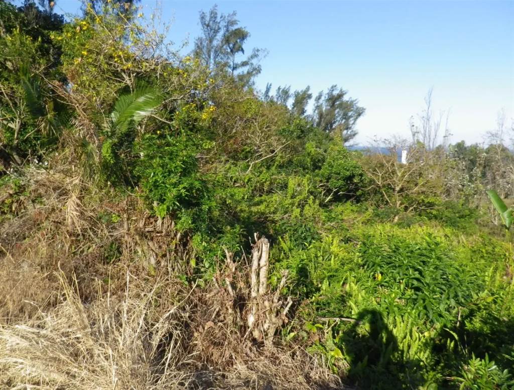 2243 m² Land available in Port Edward photo number 7