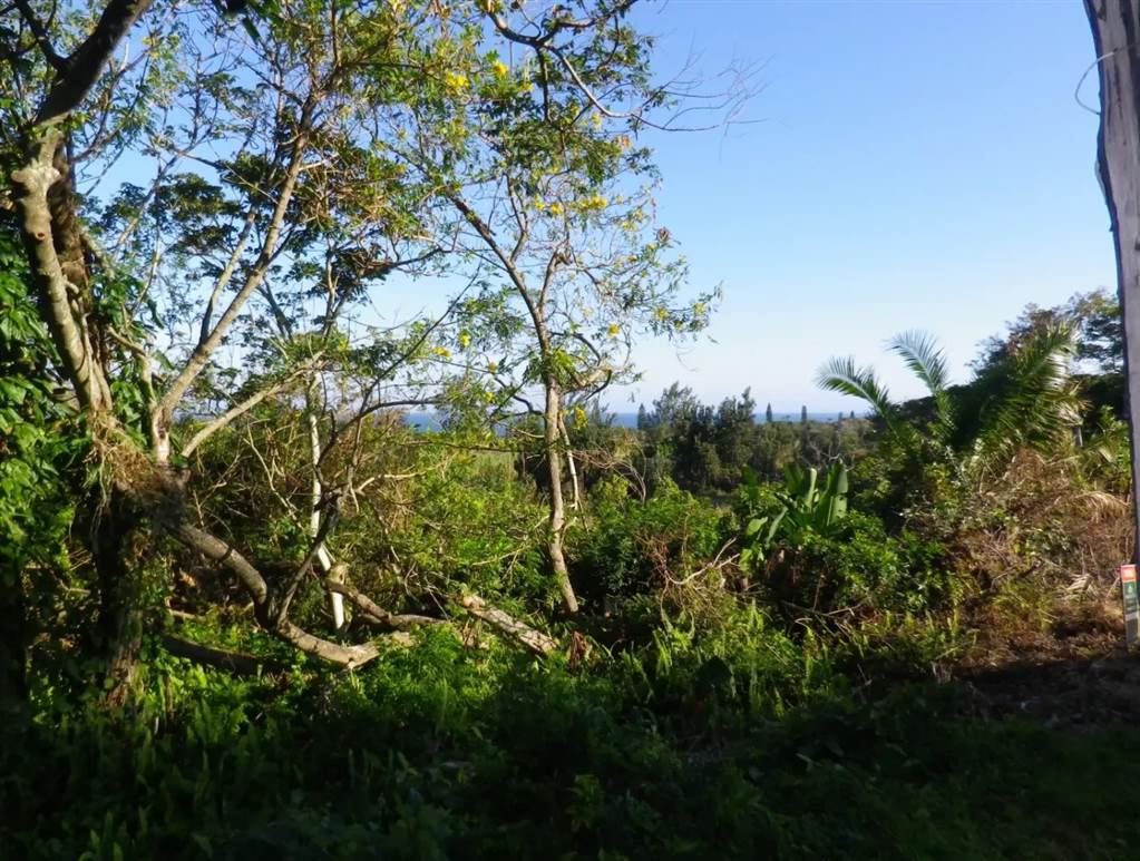 2243 m² Land available in Port Edward photo number 8