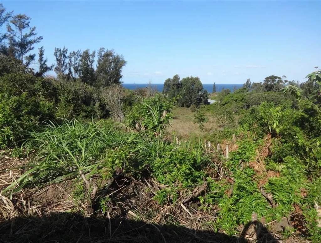 2243 m² Land available in Port Edward photo number 4