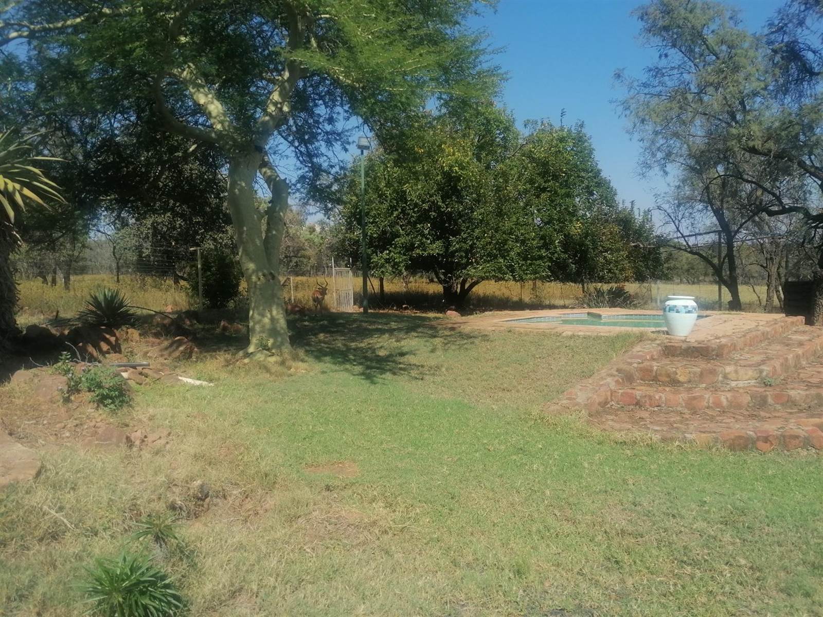 65 ha Farm in Dinokeng photo number 17