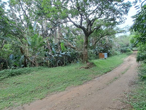 2 115 m² Land 2 115 m² Land