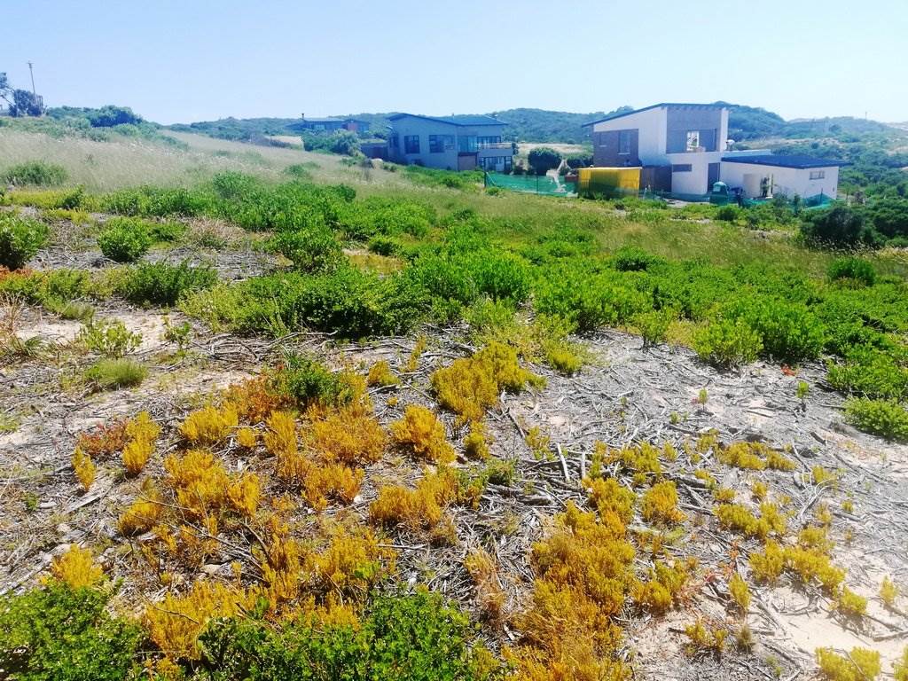 512 m² Land available in Stilbaai photo number 5