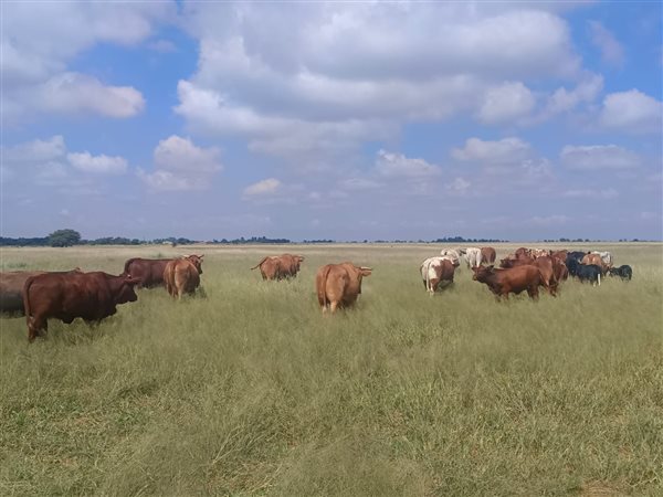 358 ha Farm