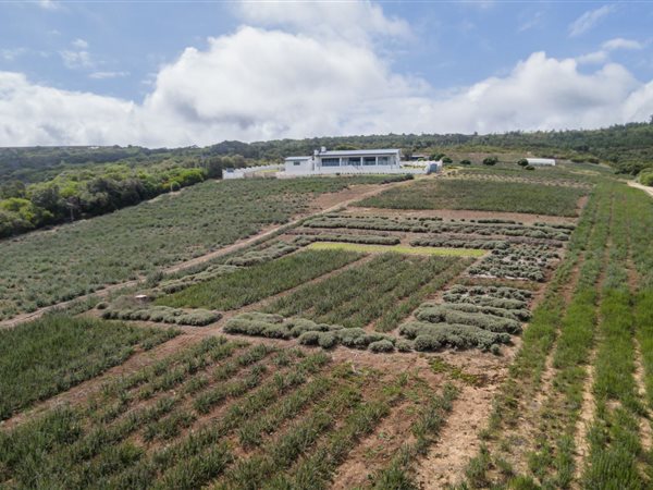 8 ha Farm