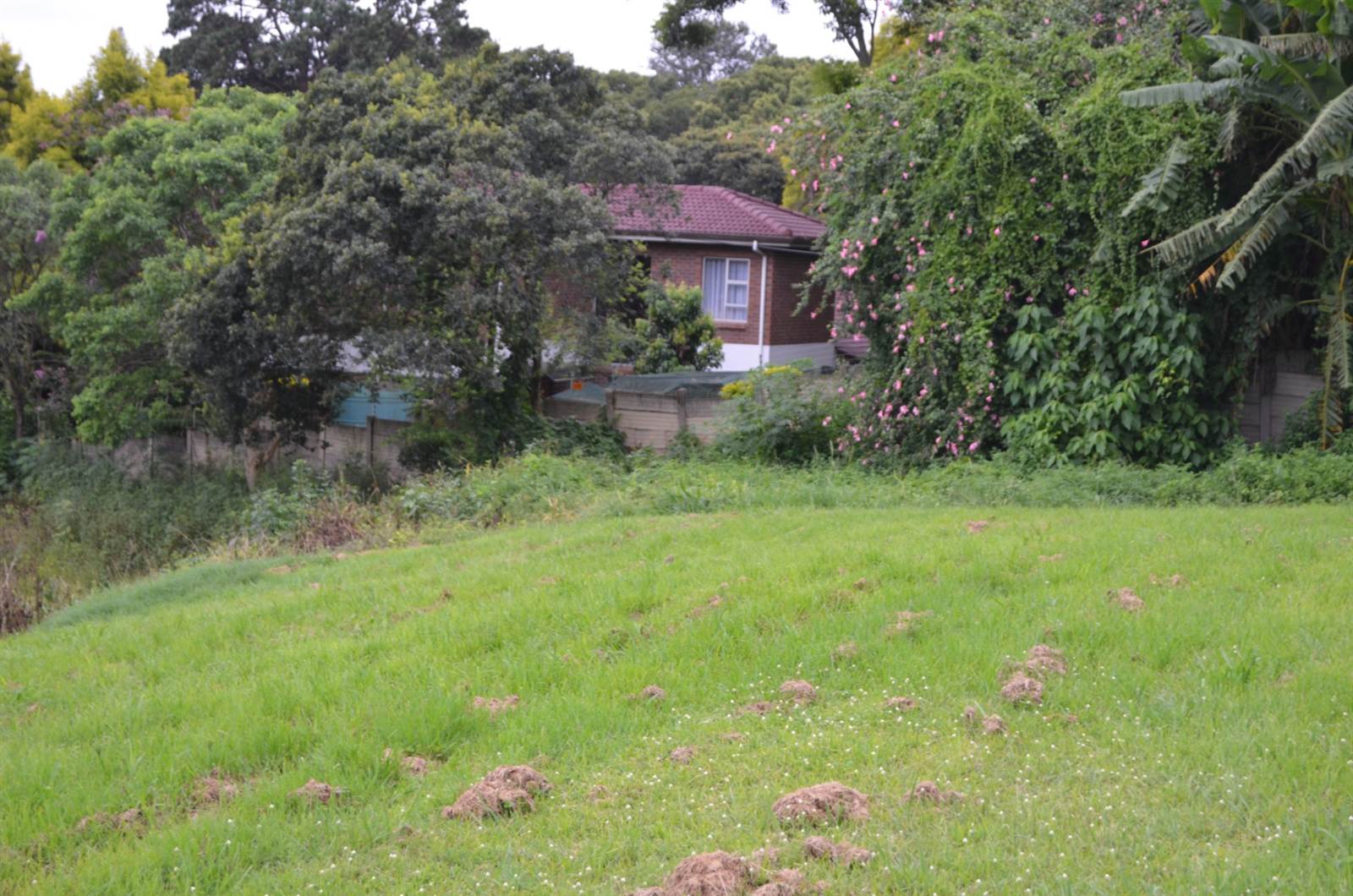 1800 m² Land available in Hillcrest Park photo number 5