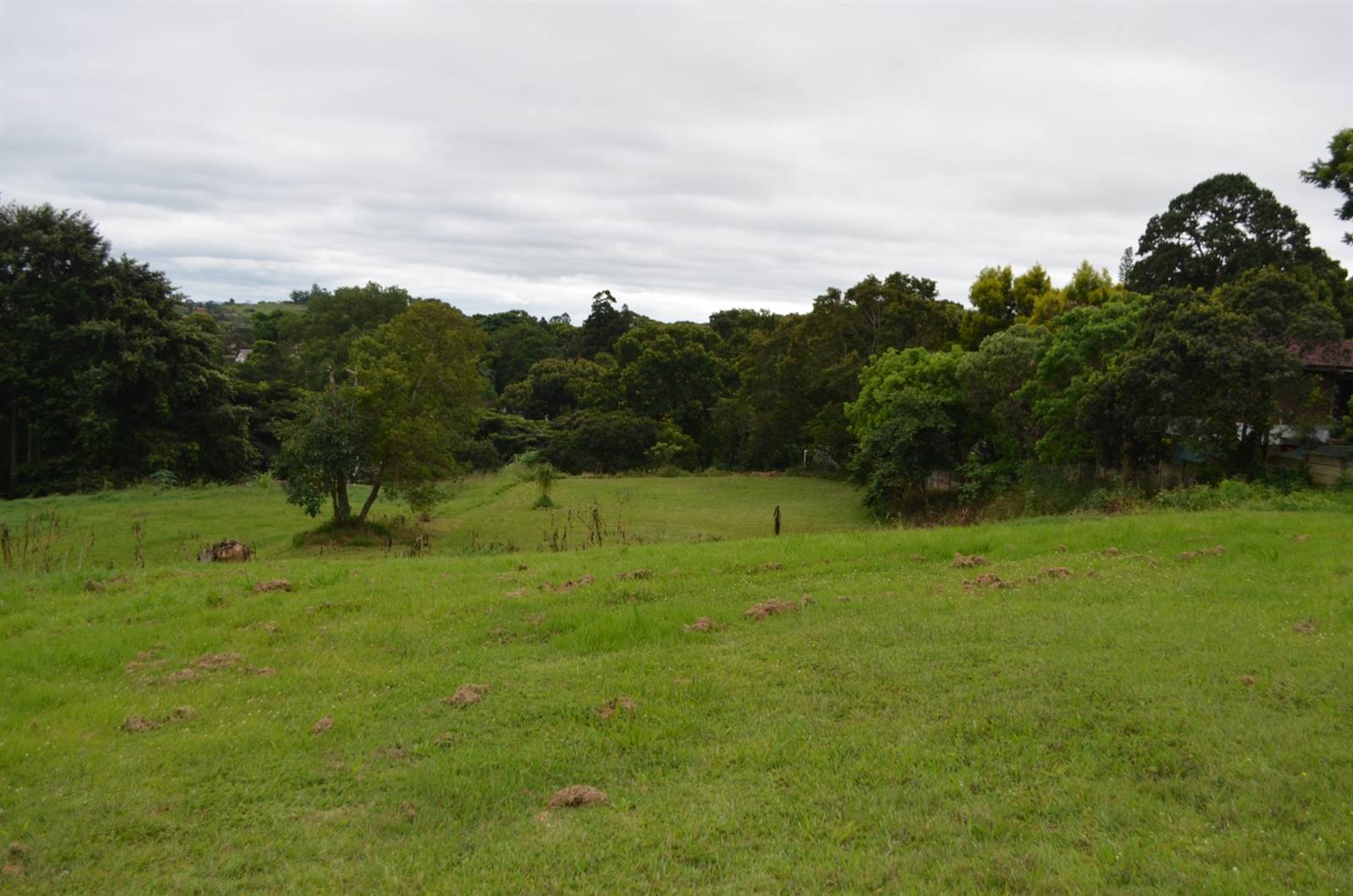 1800 m² Land available in Hillcrest Park photo number 7