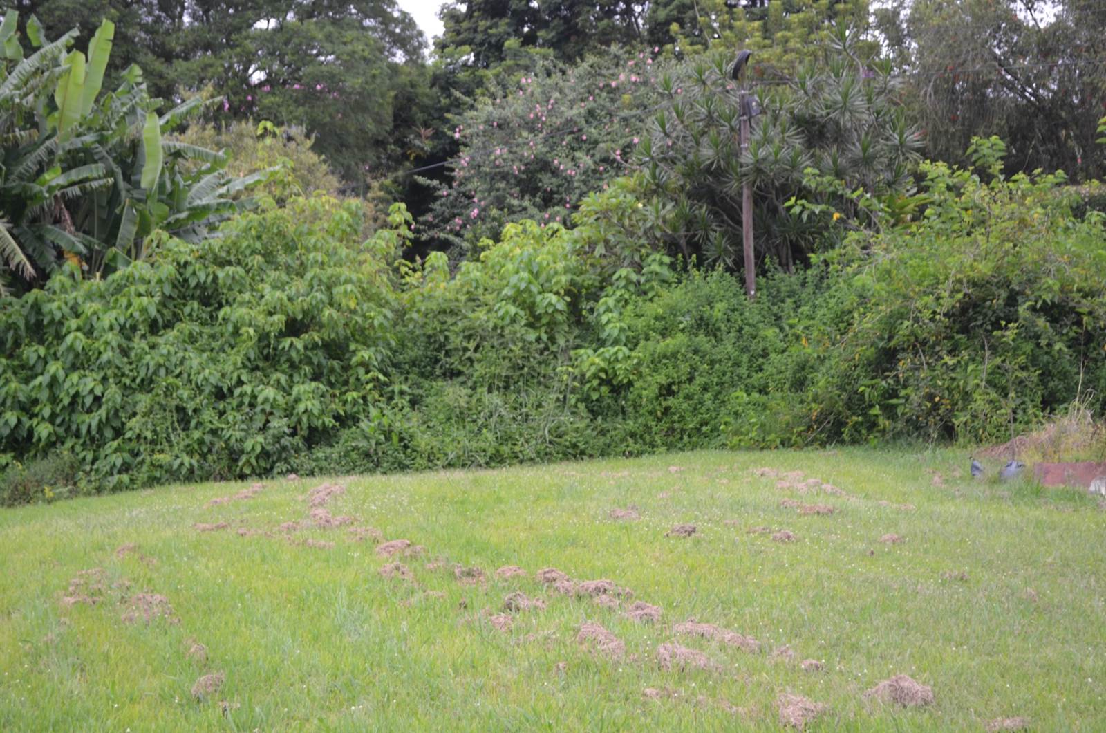 1800 m² Land available in Hillcrest Park photo number 11