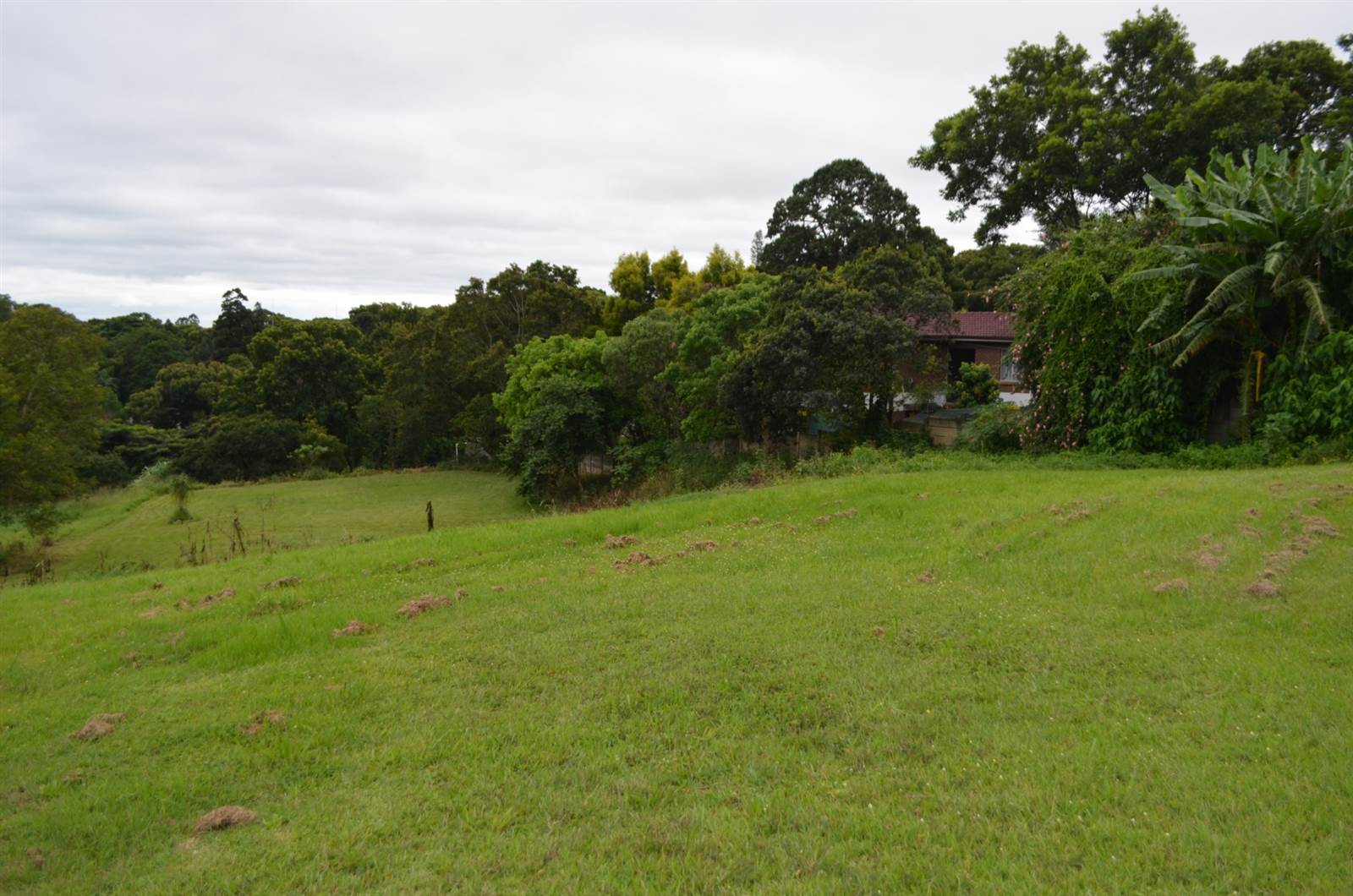 1800 m² Land available in Hillcrest Park photo number 8