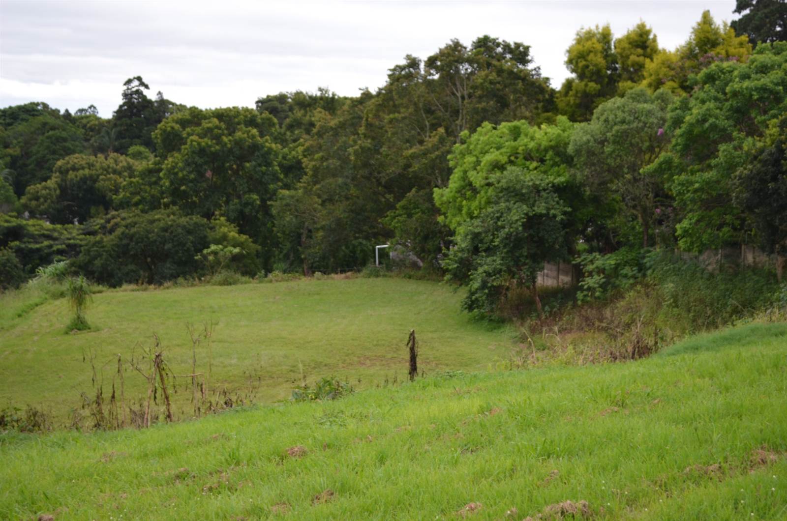 1800 m² Land available in Hillcrest Park photo number 12