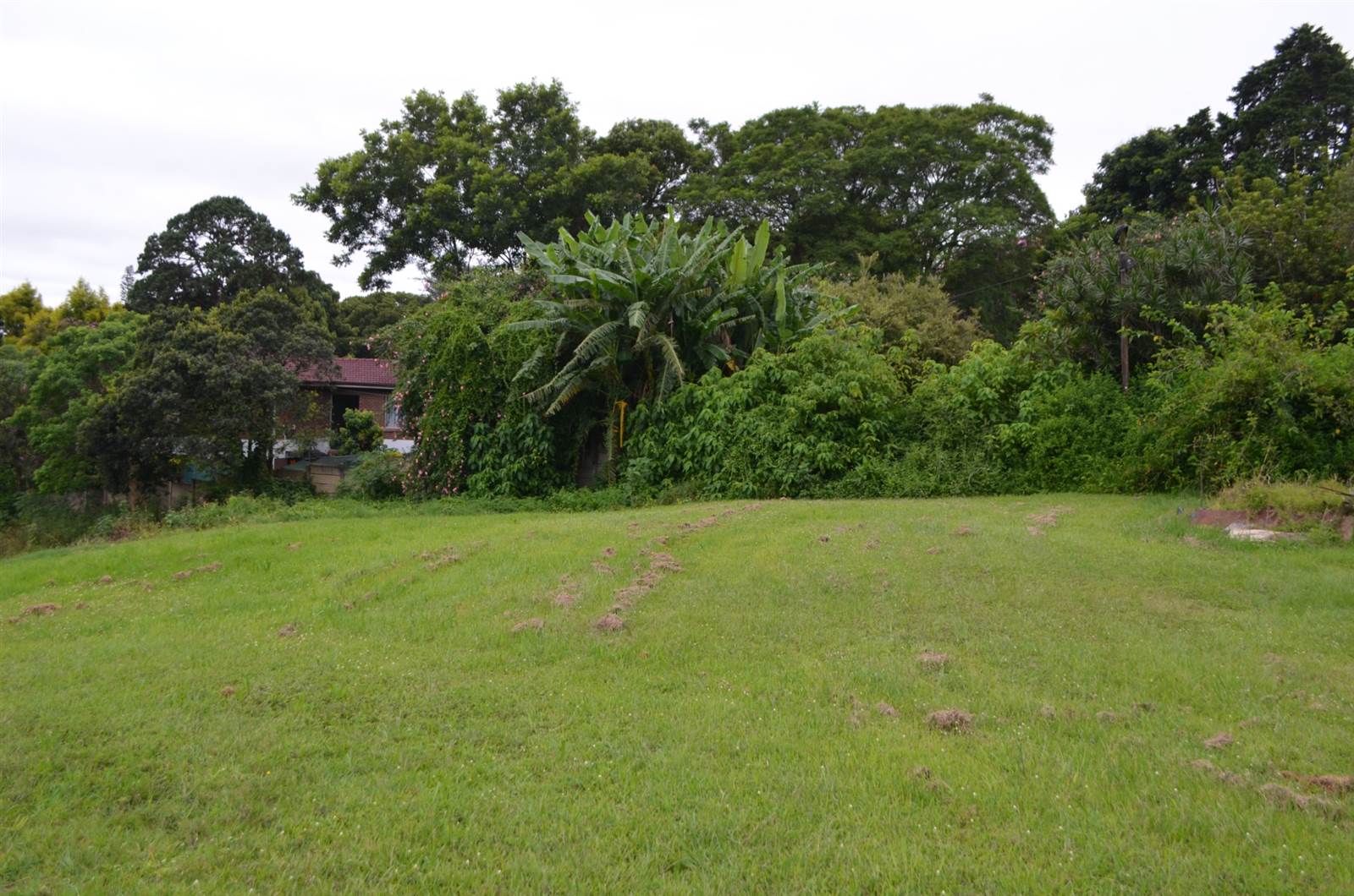 1800 m² Land available in Hillcrest Park photo number 10