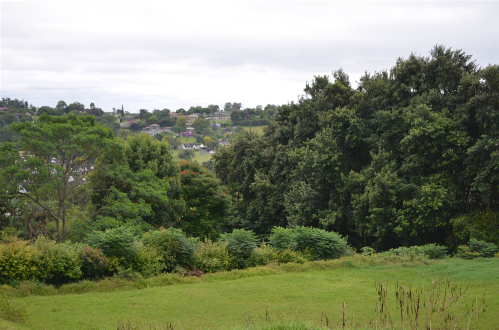 1800 m² Land available in Hillcrest Park photo number 15