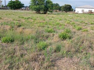 1495 m² Land available in Riversdale