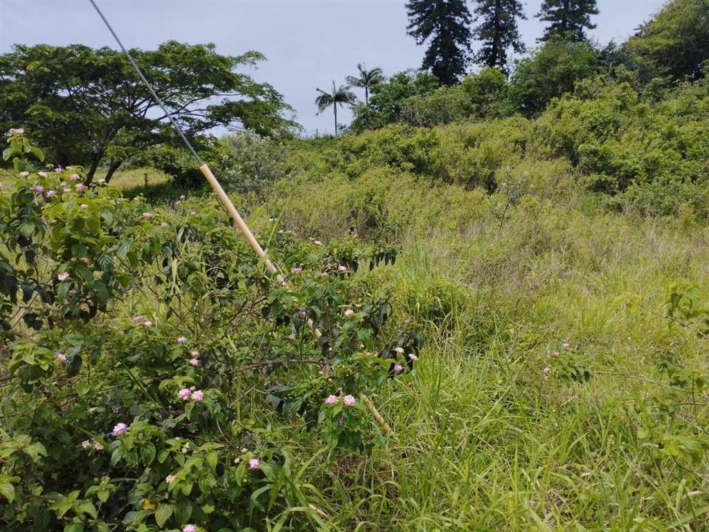 1015 m² Land available in Desainagar photo number 4