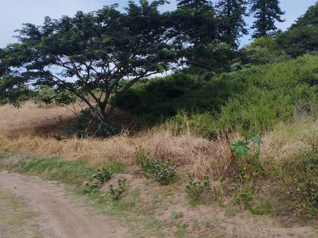1015 m² Land available in Desainagar photo number 6
