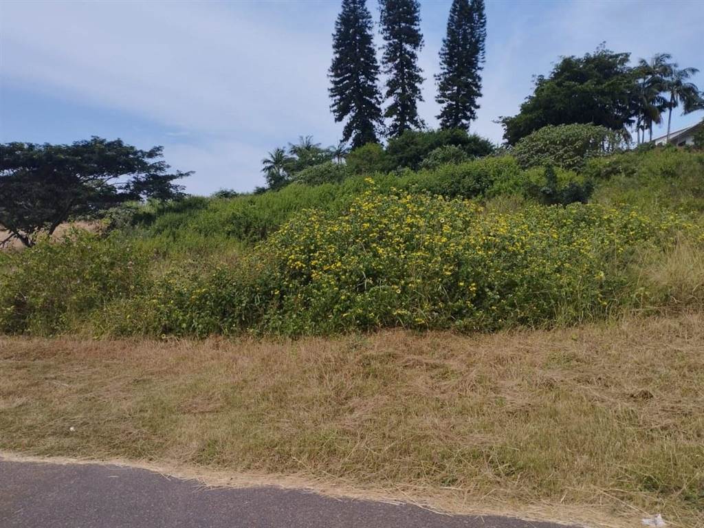 1015 m² Land available in Desainagar photo number 5