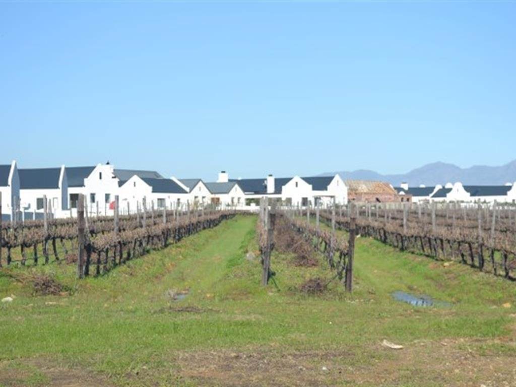 500 m² Land available in Croydon Vineyard Estate photo number 9