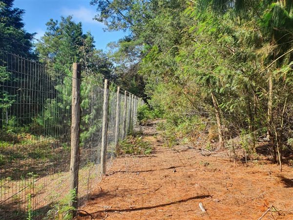 3 ha Land available in Hogsback