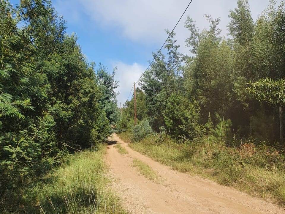 3 ha Land available in Hogsback photo number 3