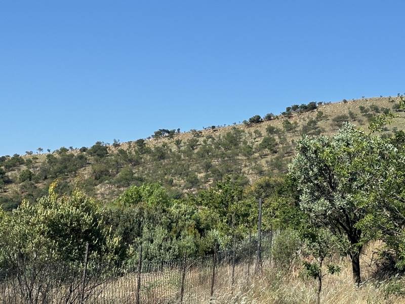 5 ha Land available in Broederstroom photo number 2
