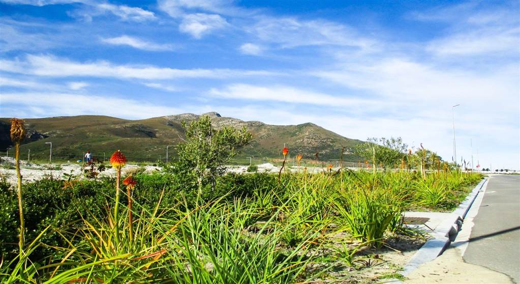 1240 m² Land available in Hermanus Industria photo number 11