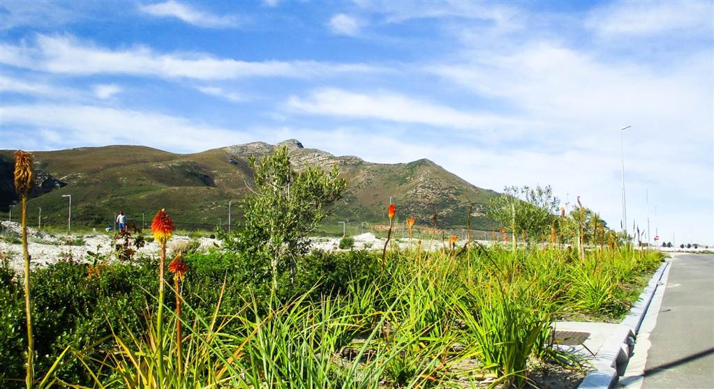 1240 m² Land available in Hermanus Industria photo number 9