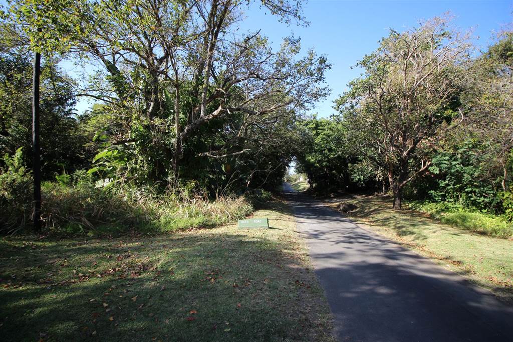 4076 m² Land available in Southbroom photo number 7