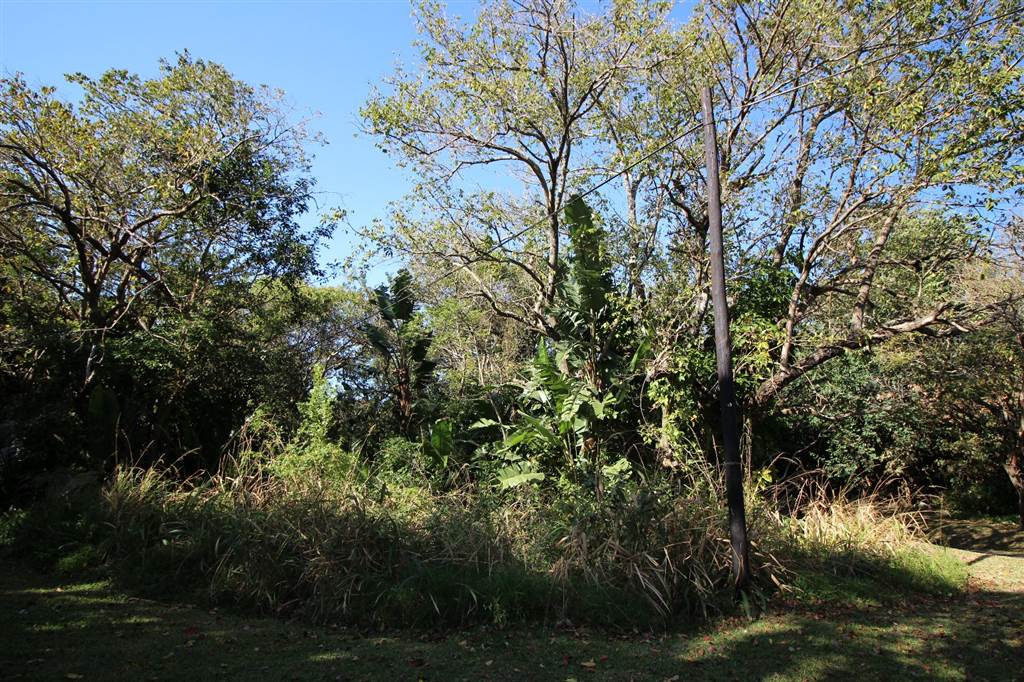 4076 m² Land available in Southbroom photo number 6