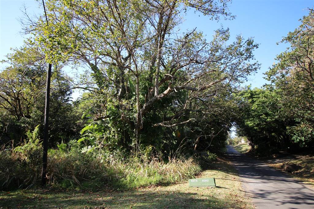 4076 m² Land available in Southbroom photo number 9
