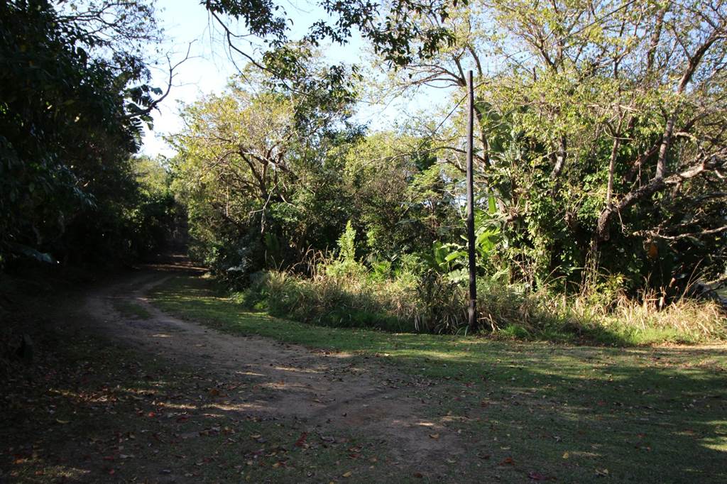 4076 m² Land available in Southbroom photo number 3